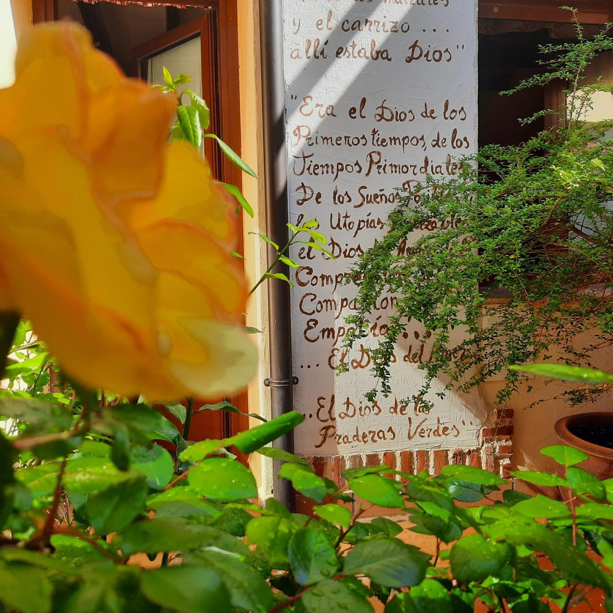 Beautiful Alamedas - Una Casa Rural Con Una Historia Unica Castronuno Exterior photo